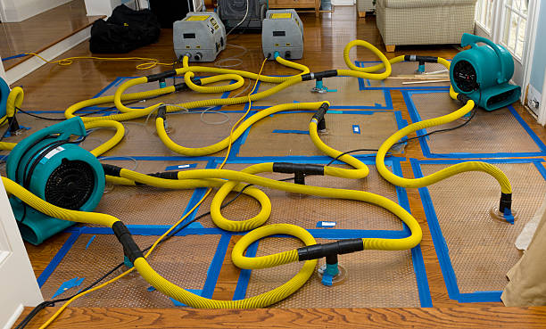 Professional Sewage Cleanup technician working in Cartersville, GA